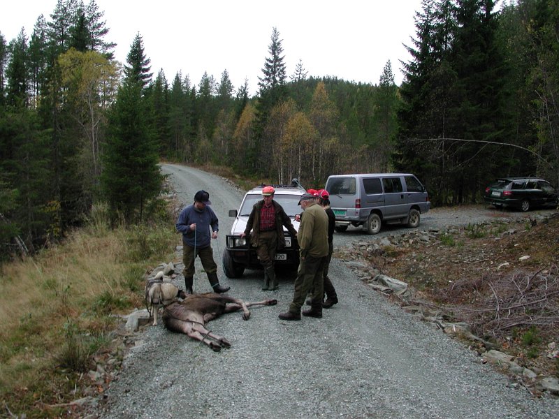 2004 Okse 80kg Lauvdalen_9.jpg - Fram på Lauvdalsveien tok motorisert fraktdoning over